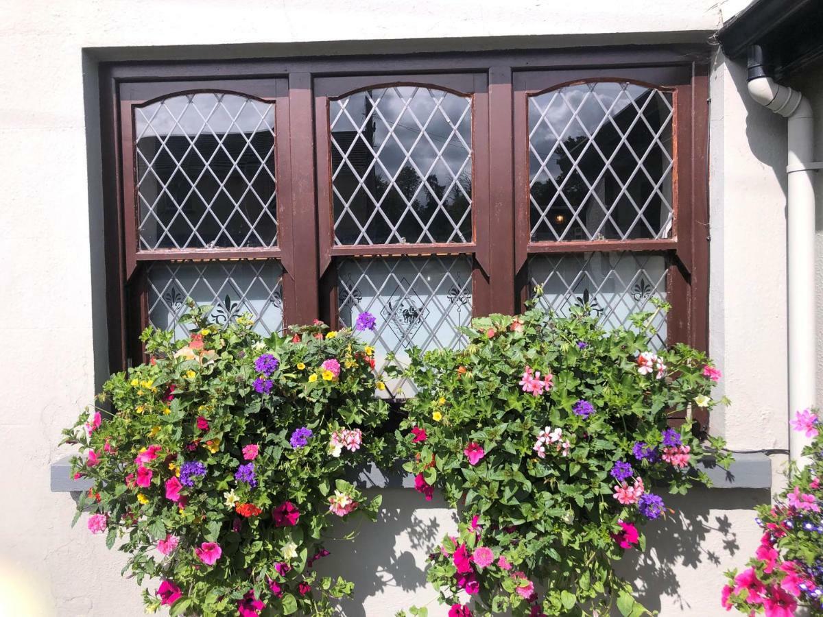 Chester Beatty Inn Ashford Exterior foto